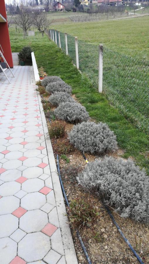 Lavanda *